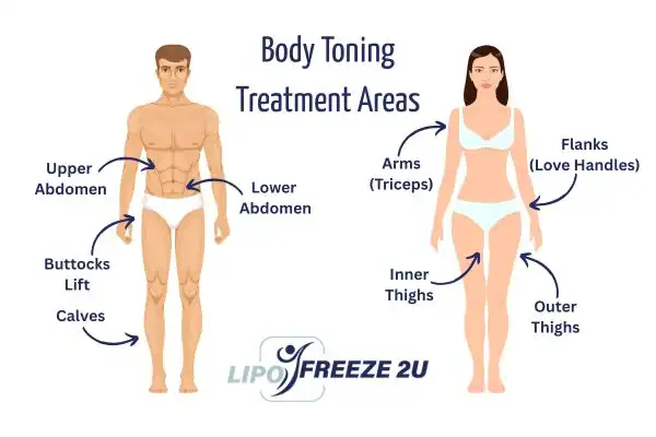Graphic showing where you can have Body toning Treatment Yeovil on your body